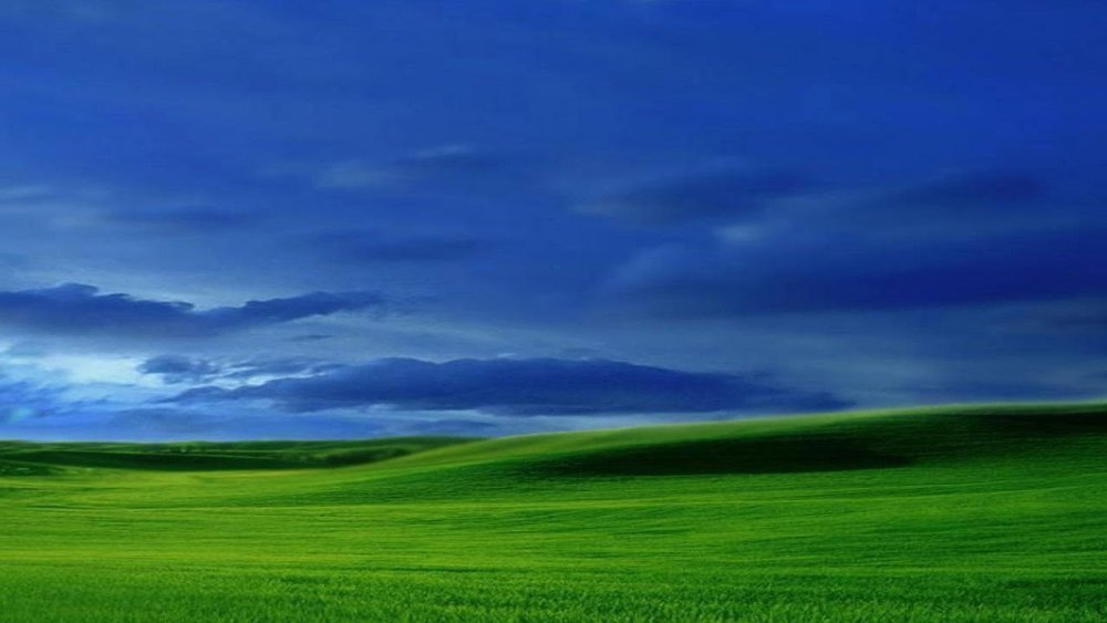 Поле Windows XP