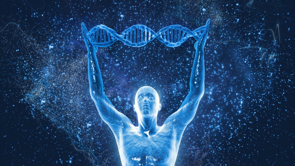 Born of Osiris обложки