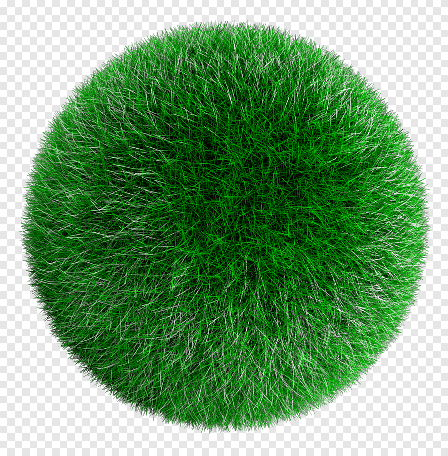 Круглая трава