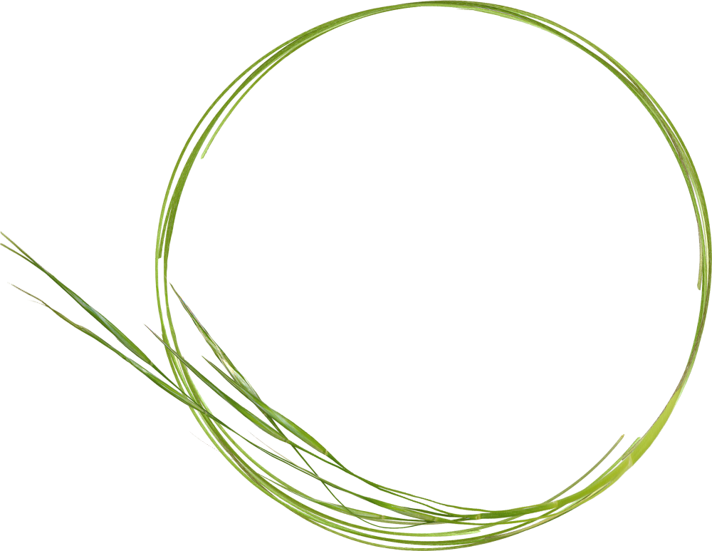 Зеленый круг из травы