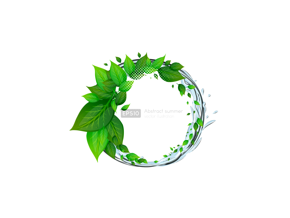 Рамка с зелеными ростками