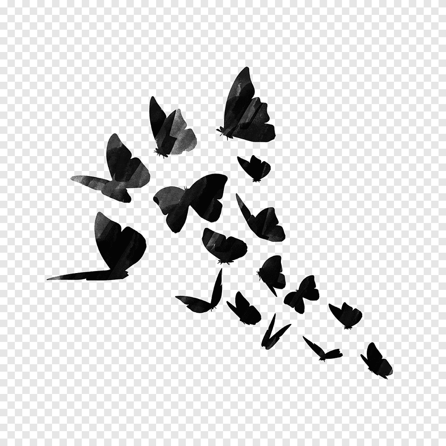 Фон бабочки