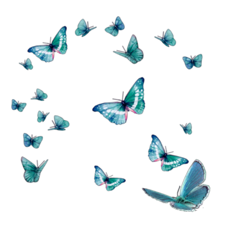 Стая бабочек на белом фоне