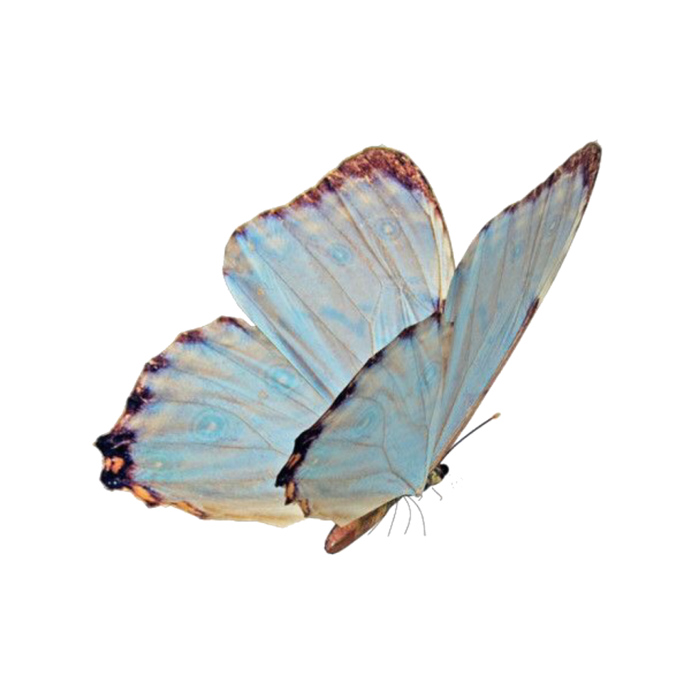 Девушка арт на белом фоне