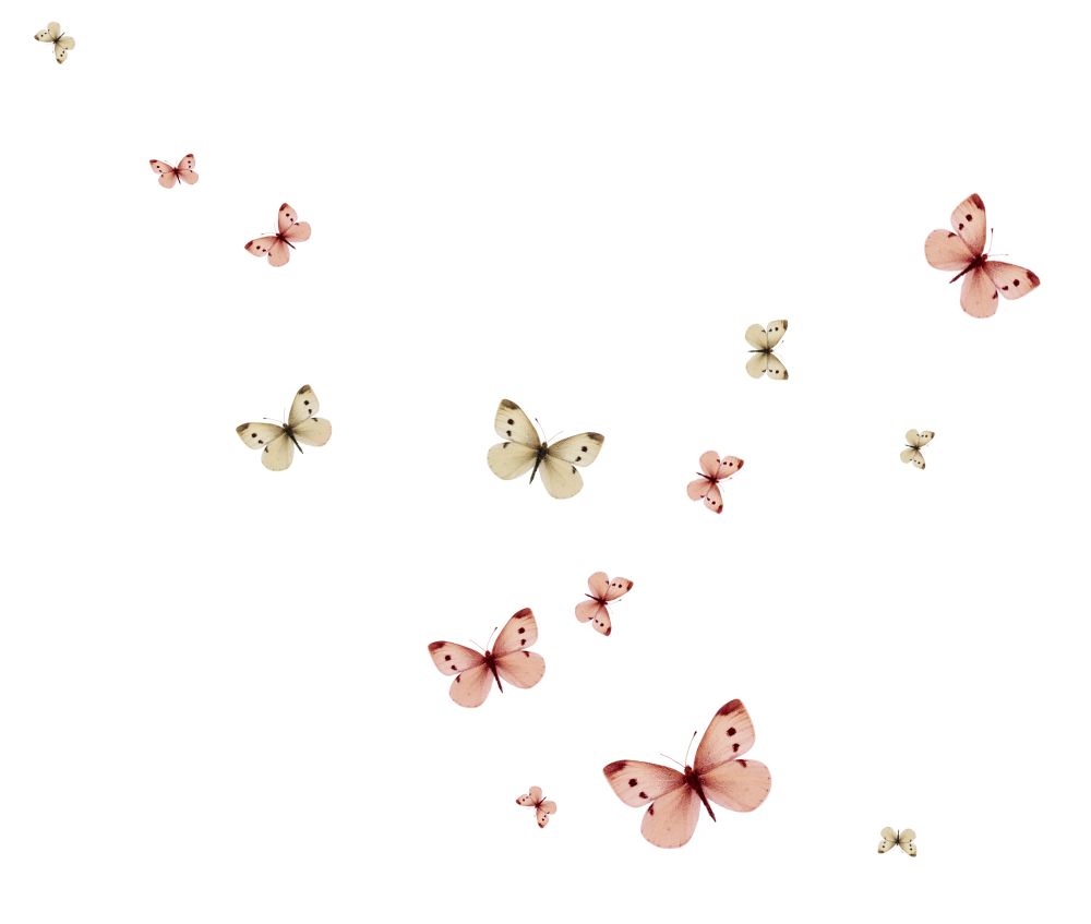 Бабочки черно белые много