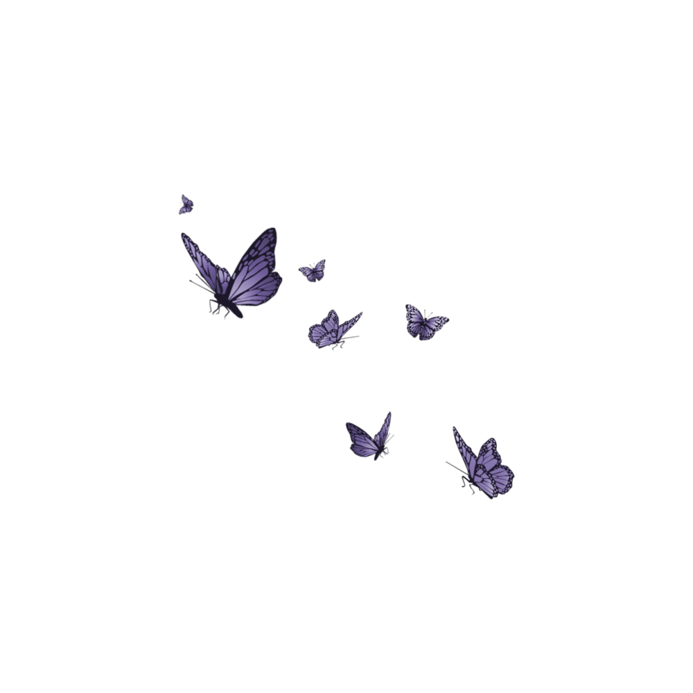 Стая бабочек на белом фоне