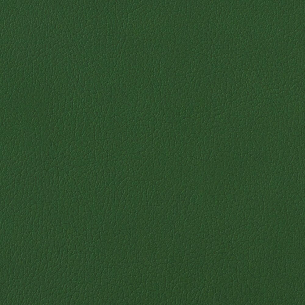 Зеленый однотонный