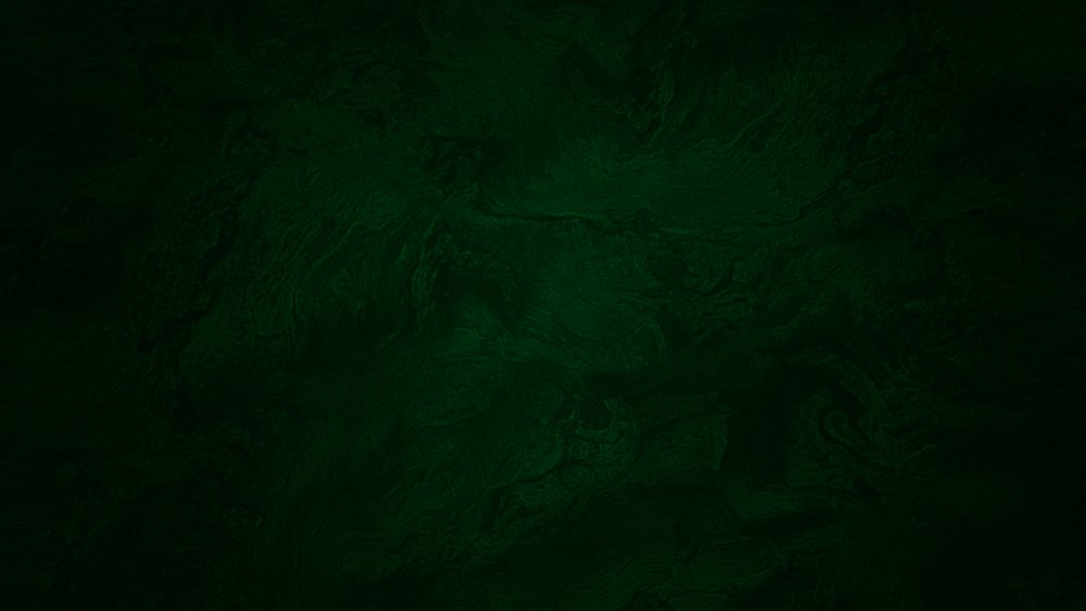 Темно зеленый цвет однотонный