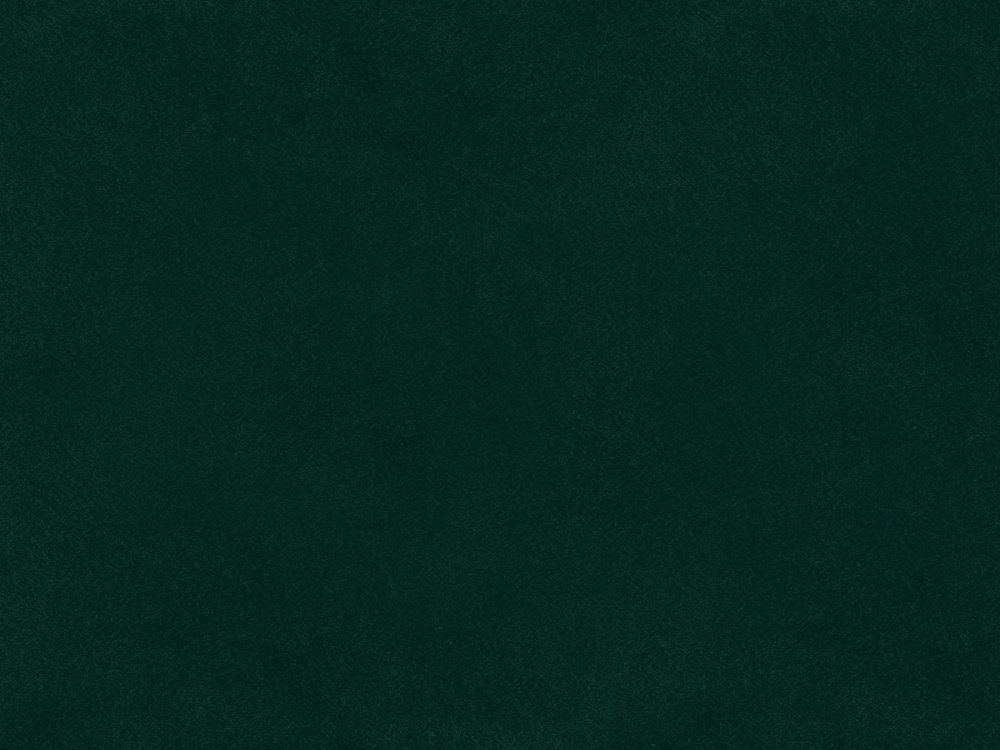 Темно зеленый однотонный