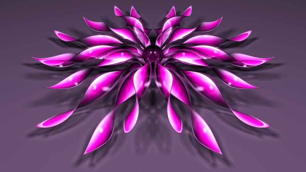 Неоновые цветы