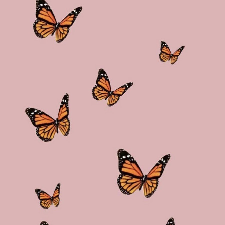 Бабочки из пинтереста