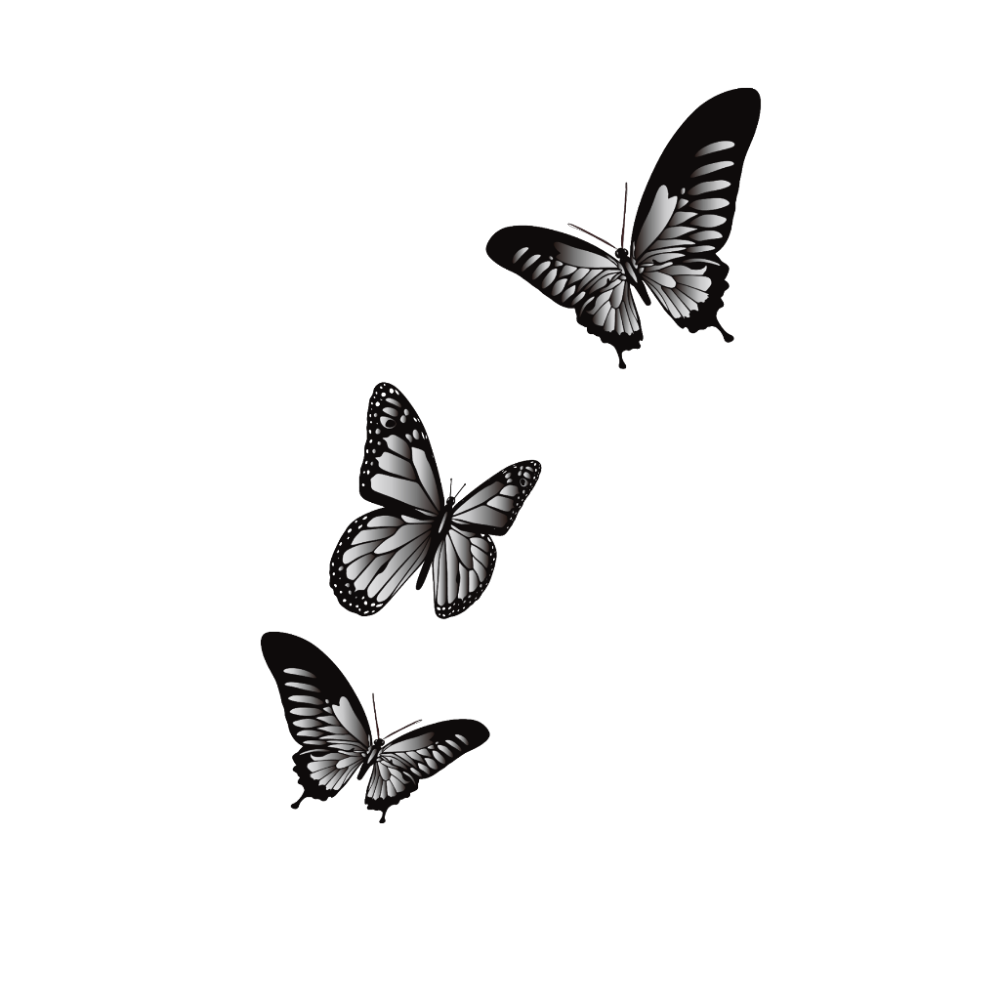 Бабочка эскиз