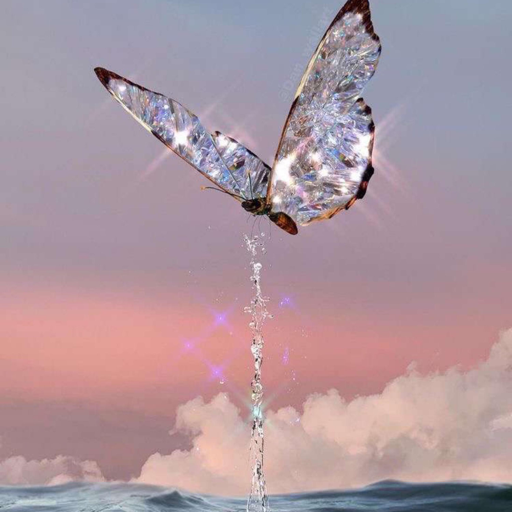 Бабочка над морем