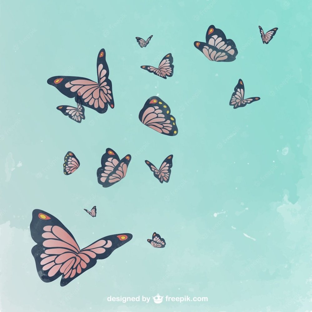 Бабочка референс