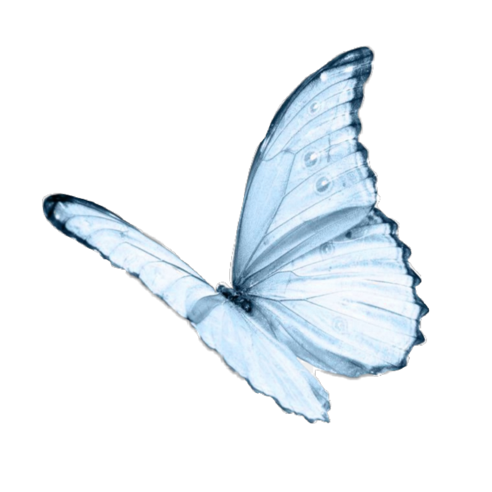 Бабочка фиолетовая