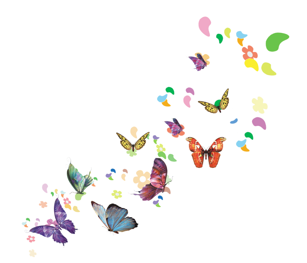 Много бабочек на прозрачном фоне