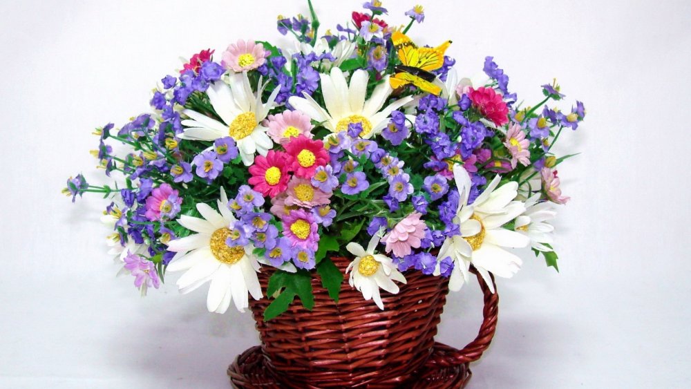 Полевые цветы