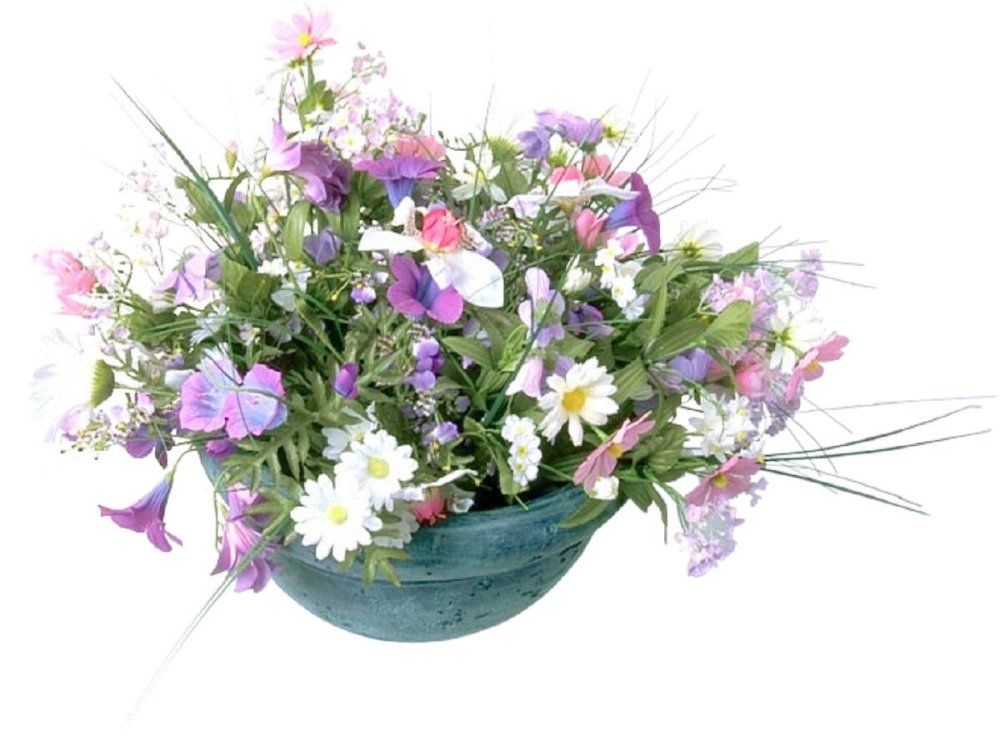 Ромашки и васильки