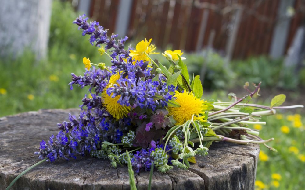 Бунин полевые цветы