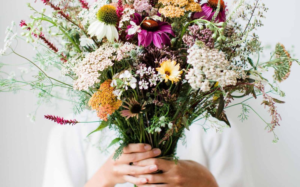 Пижма ромашки васильки