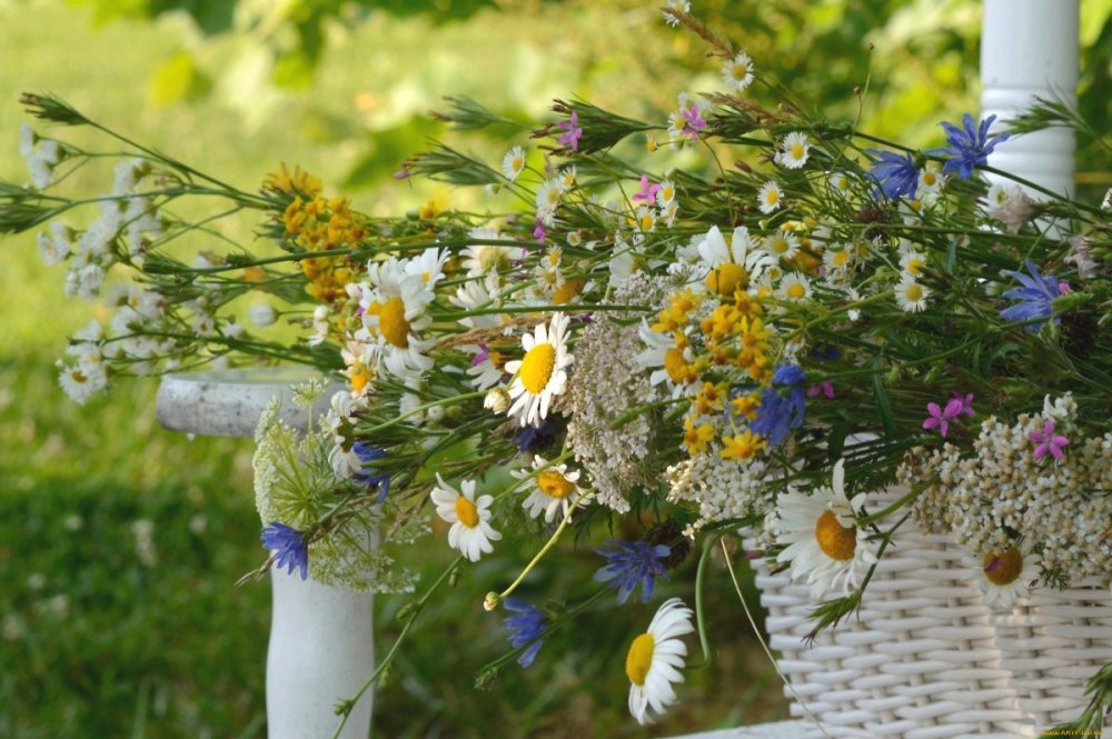Огромный букет полевых цветов