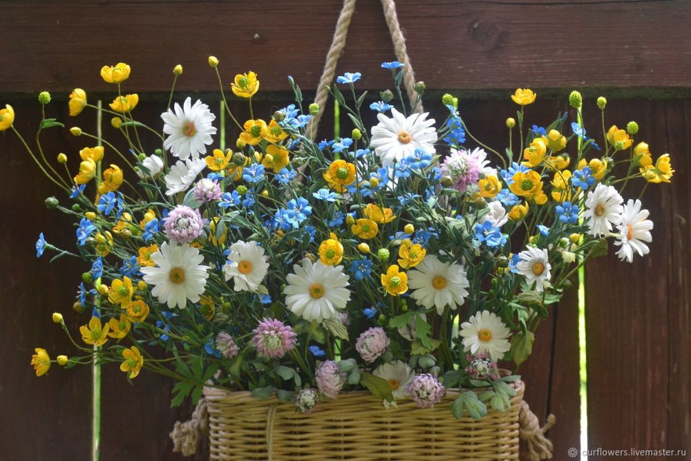 Букет полевых цветов вид сверху