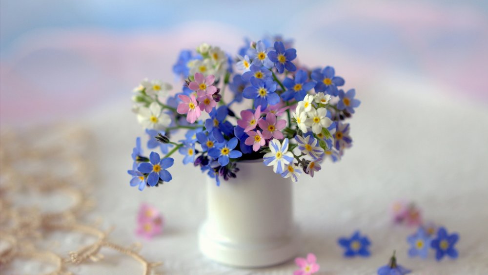 Красивые летние цветы