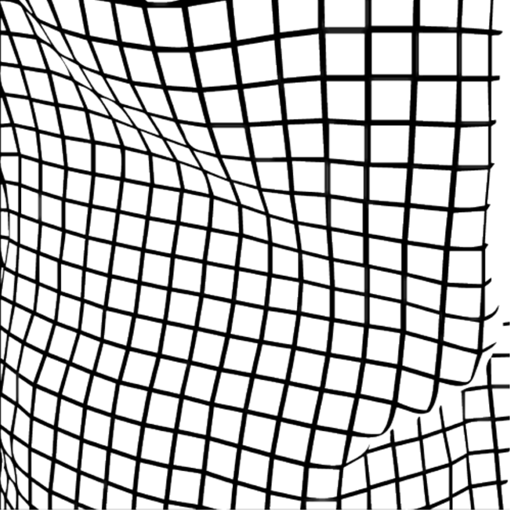 Сетка на прозрачном фоне