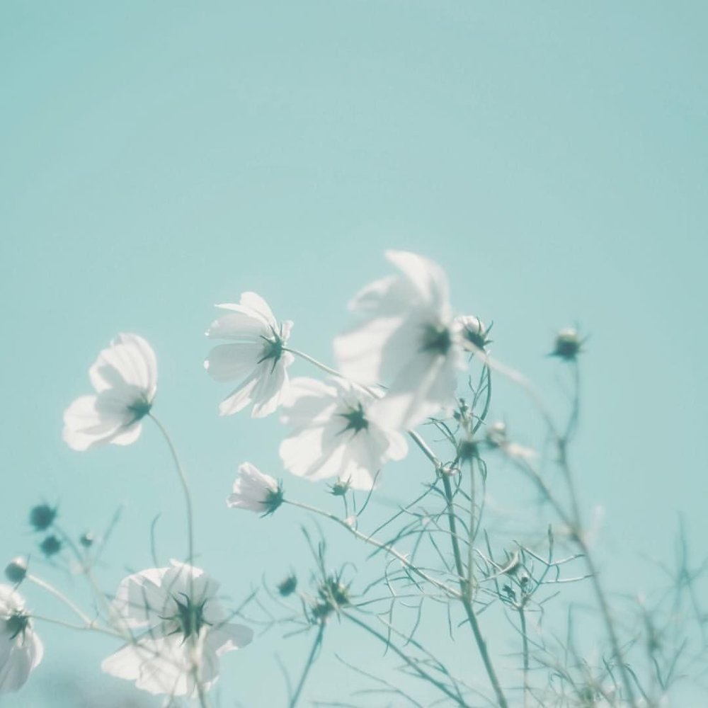 Голубой фон акварель