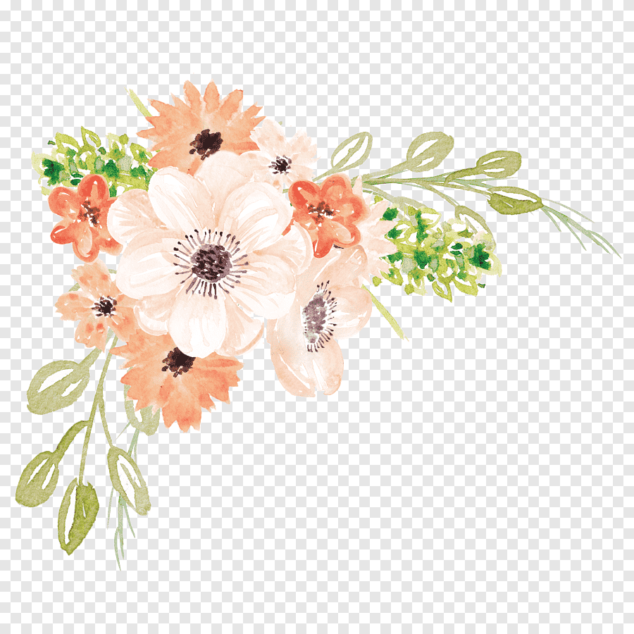 Акварельные цветы на прозрачном фоне