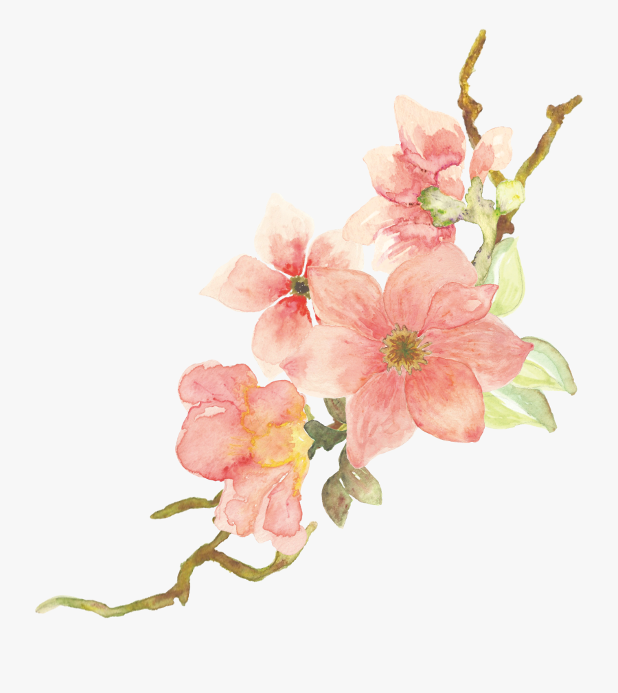 Нежные цветы на прозрачном фоне