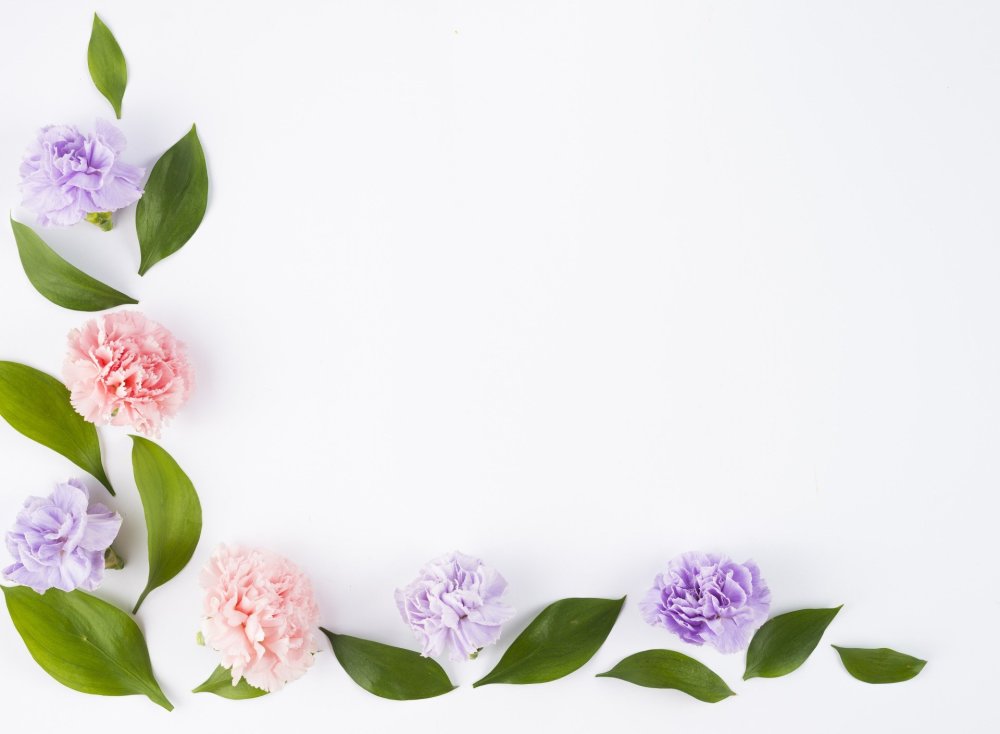 Фон с цветами по краям