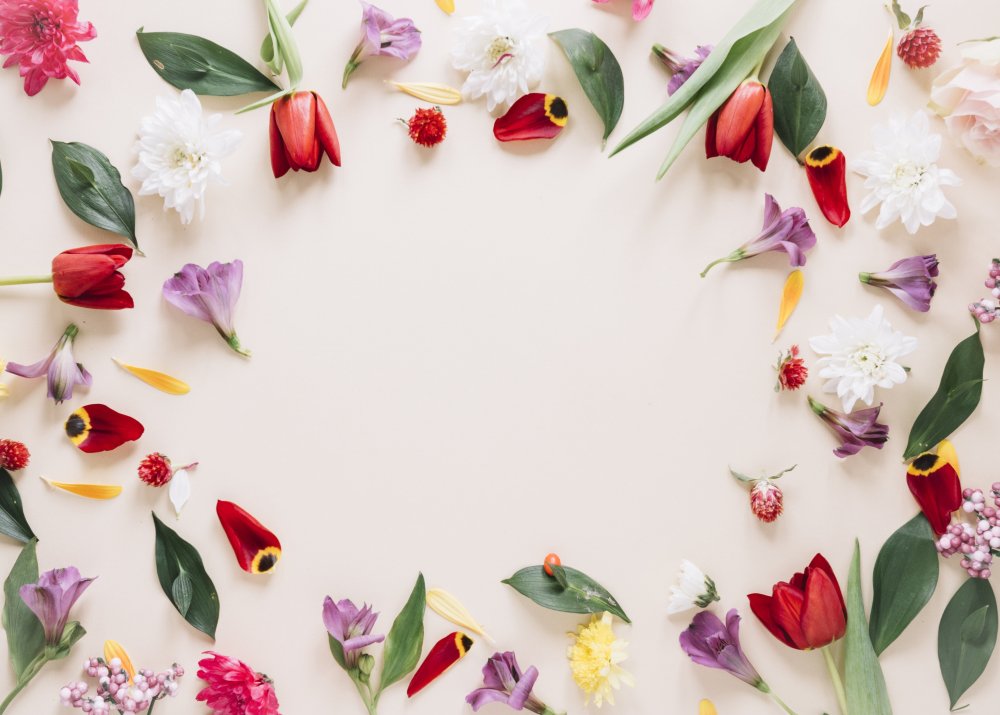 Красивый фон с цветами