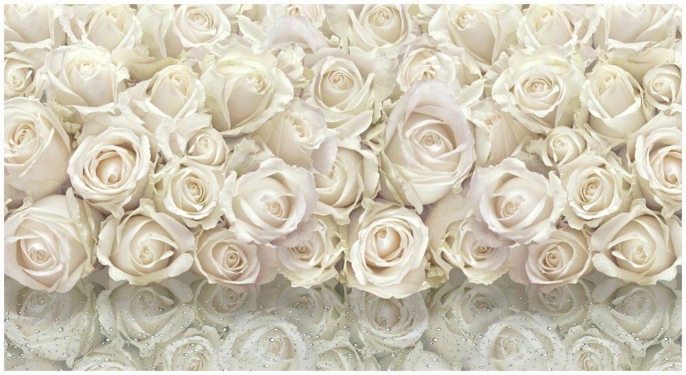 Роза Эмоушен кремовый