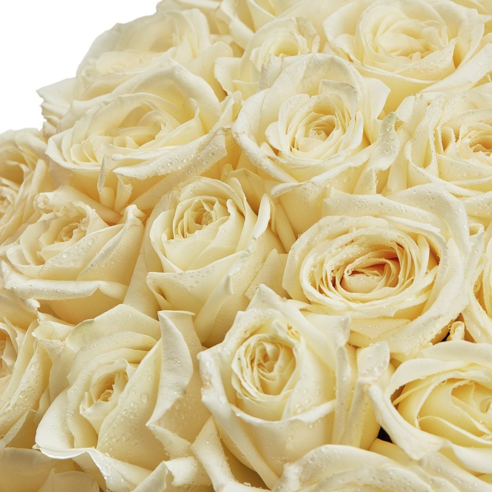 Букет белых роз