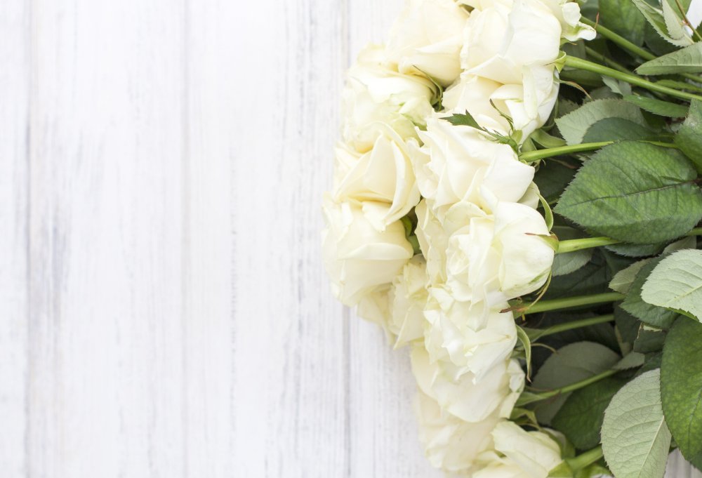 Роза Вайт Клауд