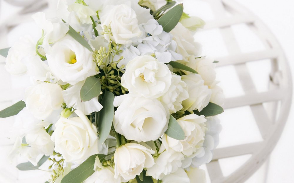Фон из белых роз