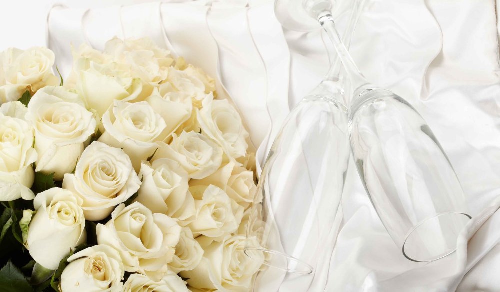Фон из белых роз