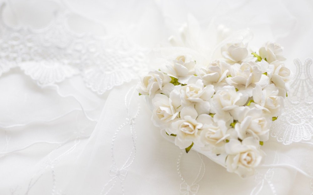 Пионовидная роза светлая