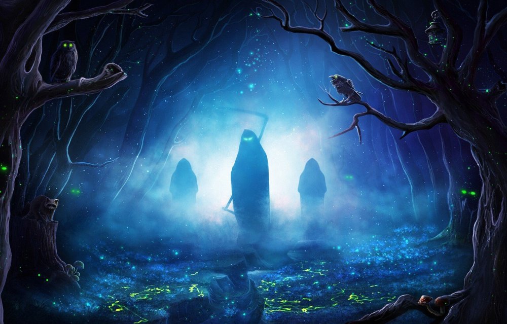 Ночной сказочный лес