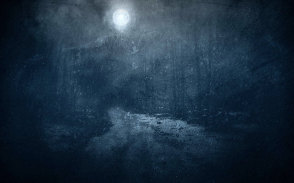 «Ночь в лесу»