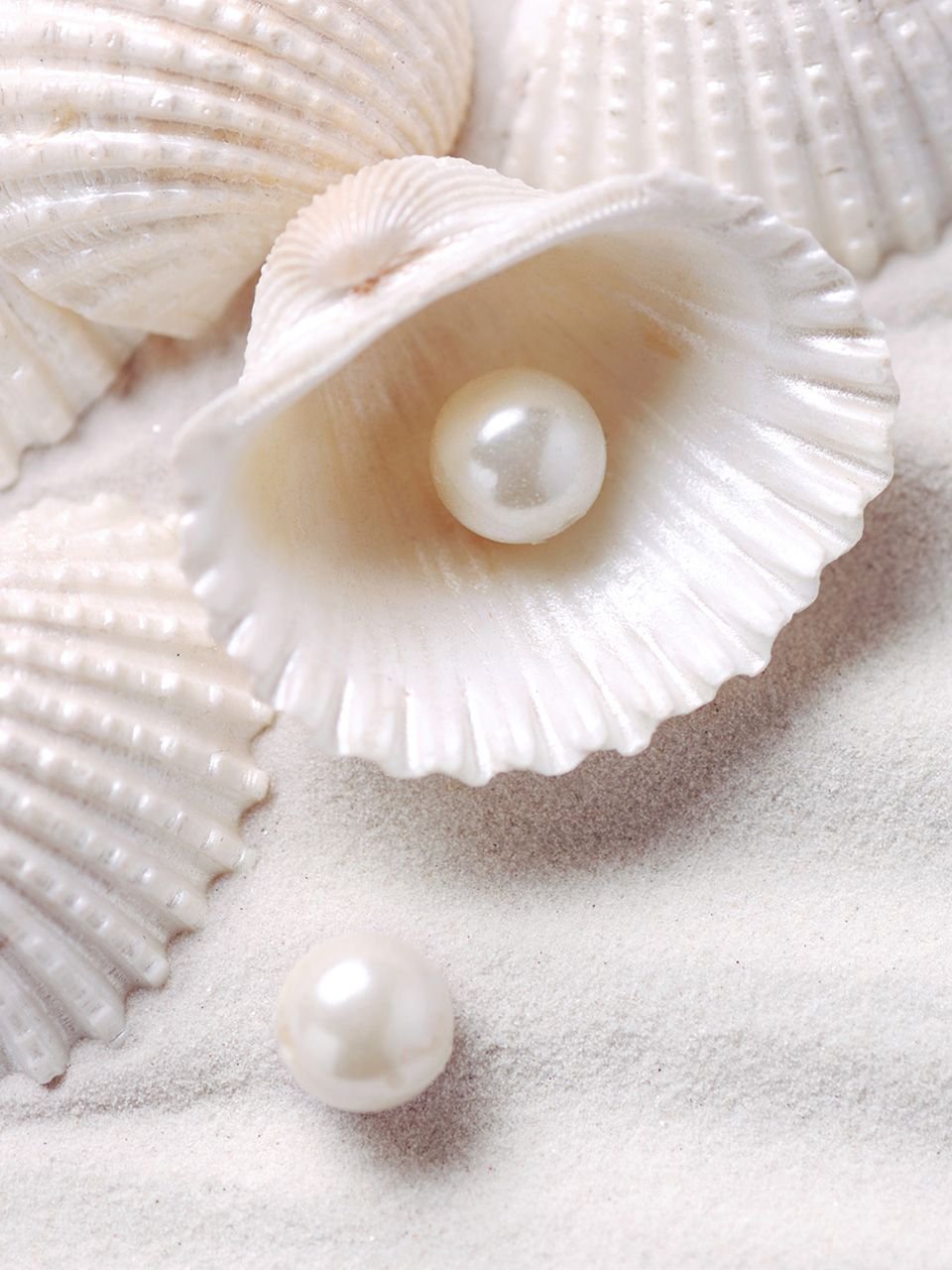 Белый жемчуг в раковине