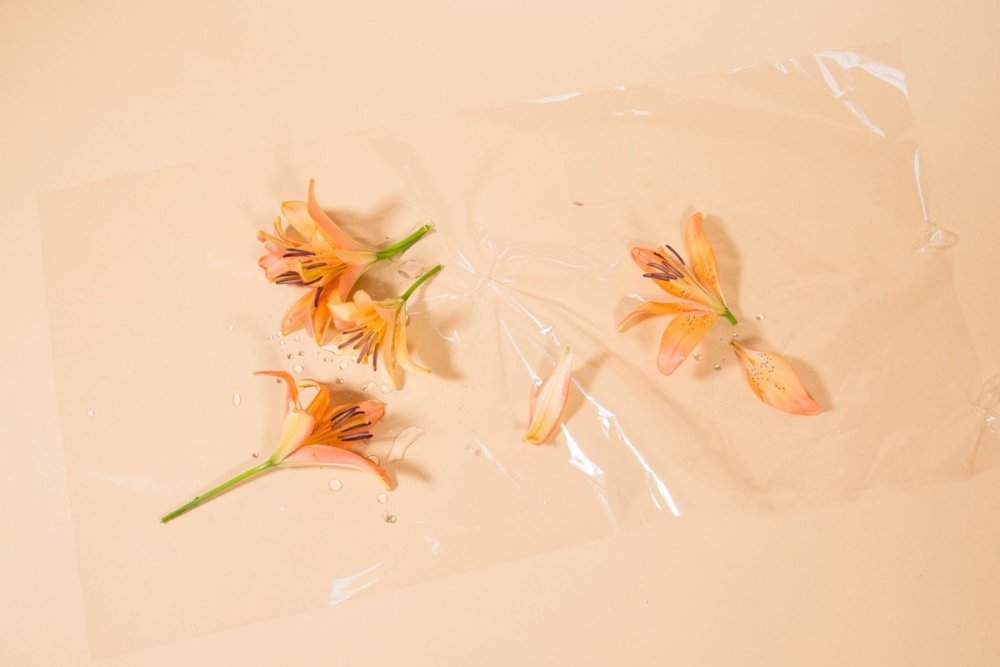 Оранжевые цветы Эстетика