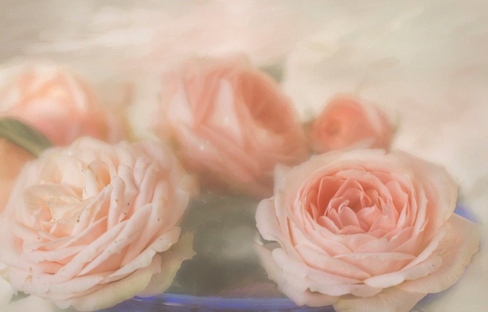 Обои на телефон однотонные бежевые