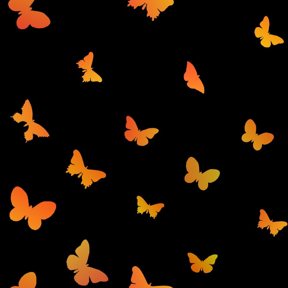 Обои бабочки на черном фоне