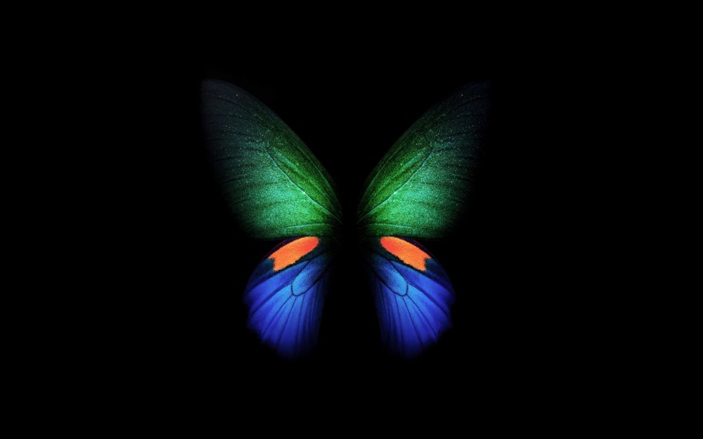 Бабочка на темном фоне