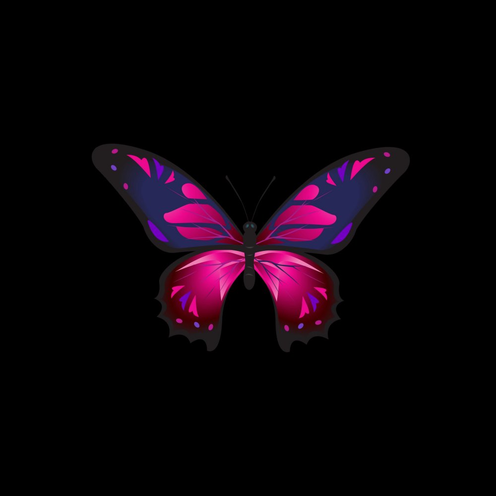 Бабочка черно белая