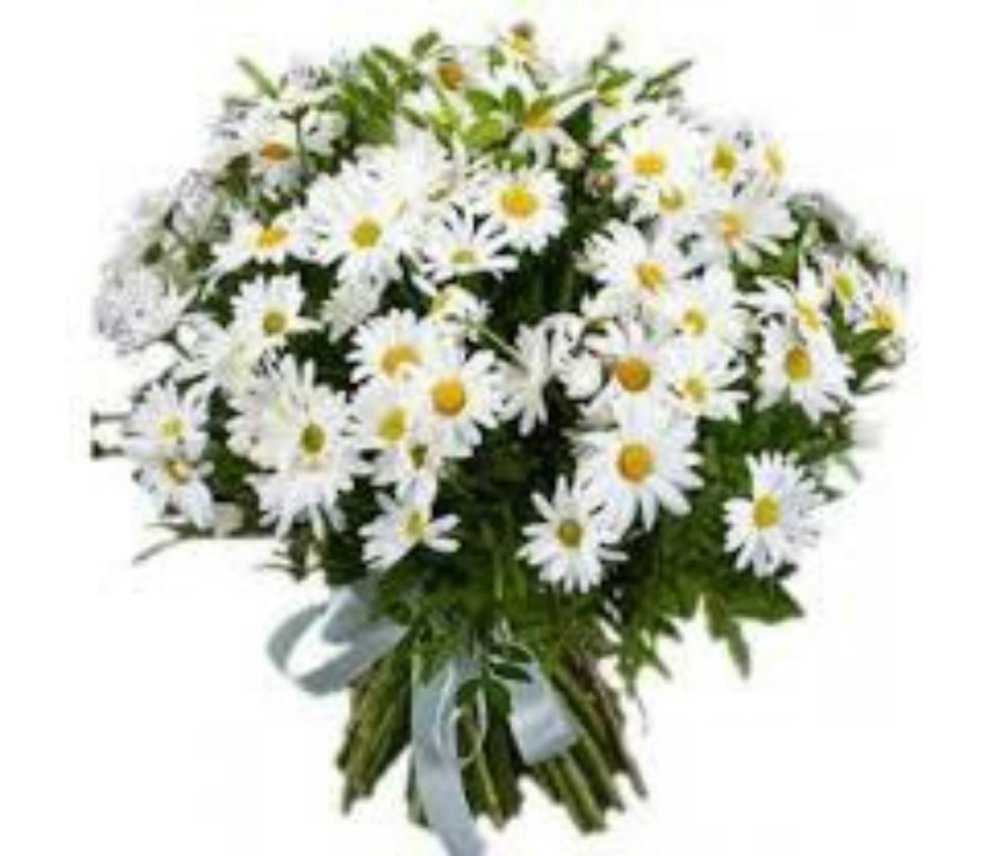 Букет из ромашек