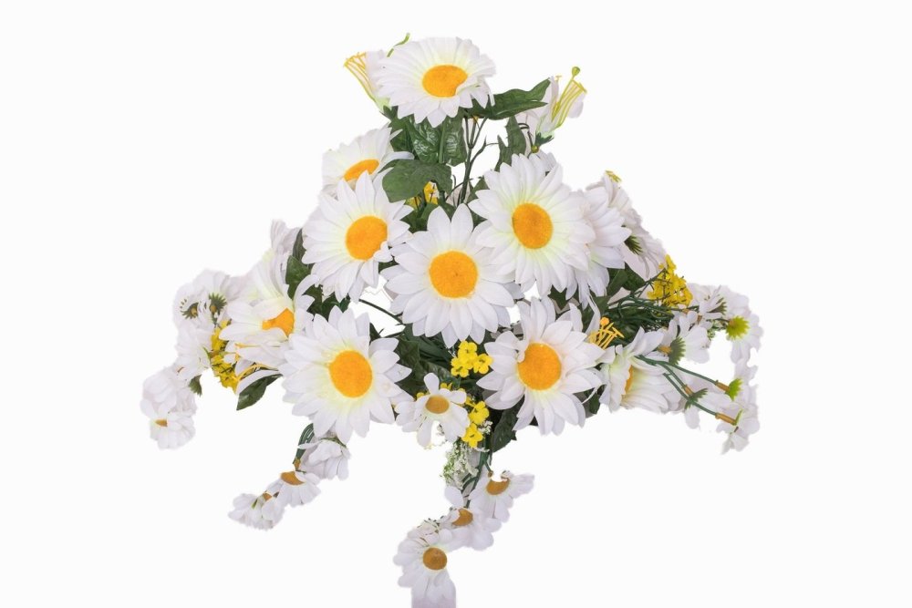 Букет ромашек на белом фоне