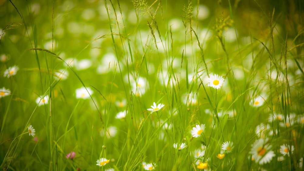 Красивый пейзаж